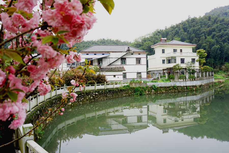 Millions visit charming forested area in East China