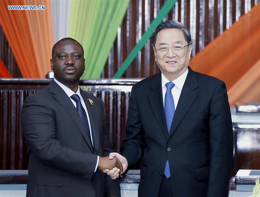 China's top political advisor visits Cote d'Ivoire to boost ties