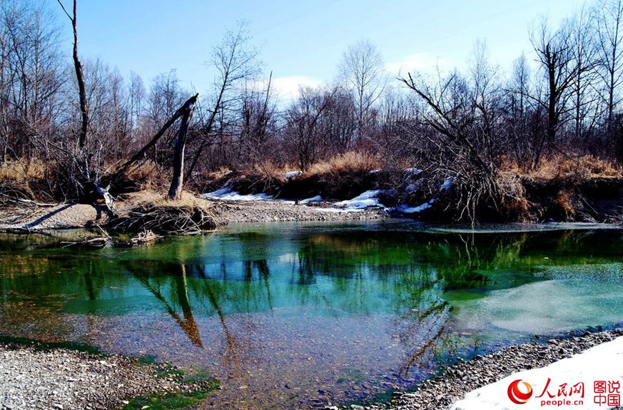 Coldest town in China embraces spring