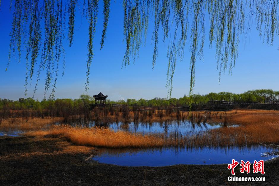 Soak in the spring scenery at Jiayuguan Pass