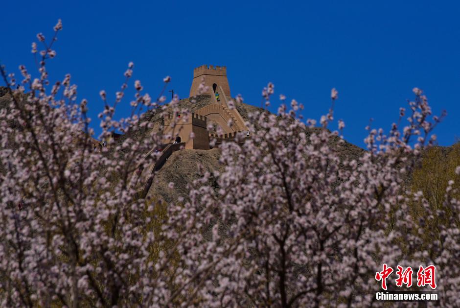 Soak in the spring scenery at Jiayuguan Pass