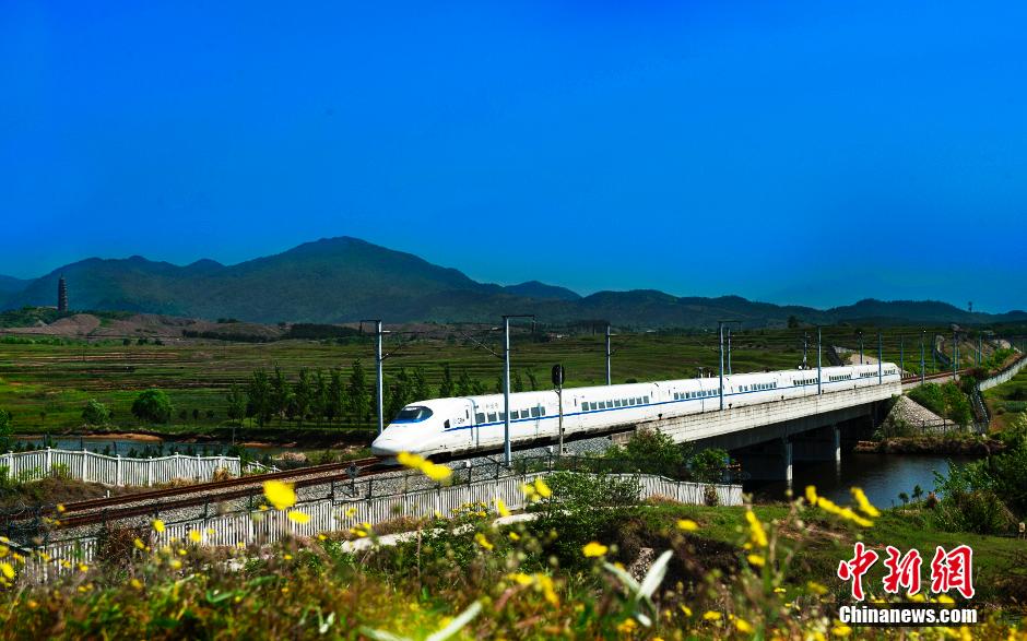 What a beautiful view! Bullet train running through fields