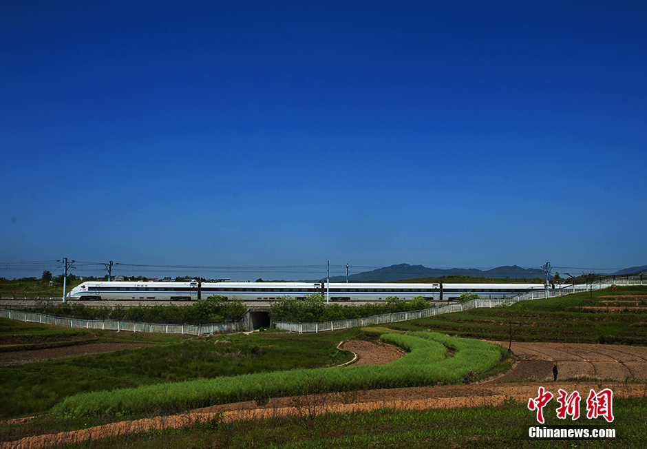 What a beautiful view! Bullet train running through fields