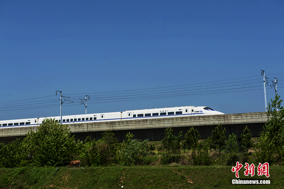 What a beautiful view! Bullet train running through fields