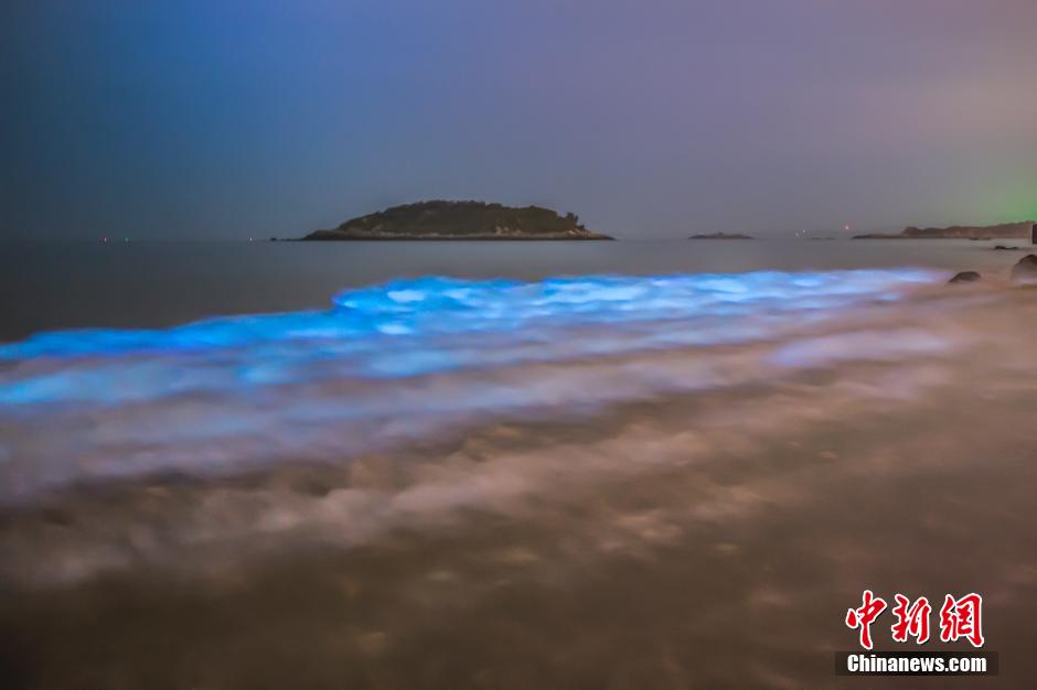 Marine microbes turn sea water glowing blue