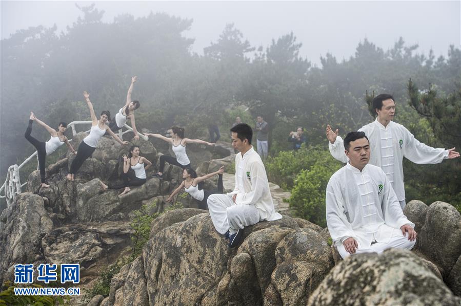 Which would you choose to have a healthier lifestyle: Yoga or Tai Chi?