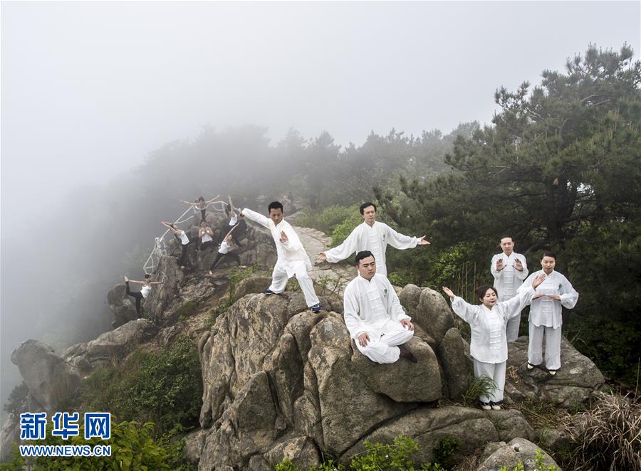 Which would you choose to have a healthier lifestyle: Yoga or Tai Chi?