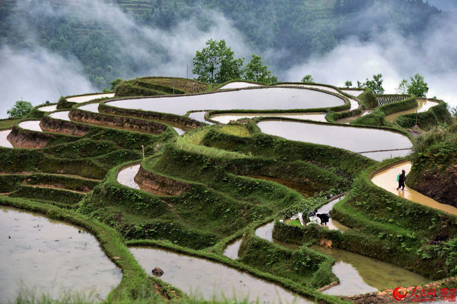 Intoxicating Yueliangshan terrace