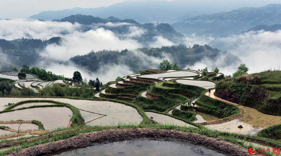 Intoxicating Yueliangshan terrace