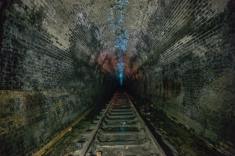 130-year-old tunnels in Australia being lightened by Glow Worms