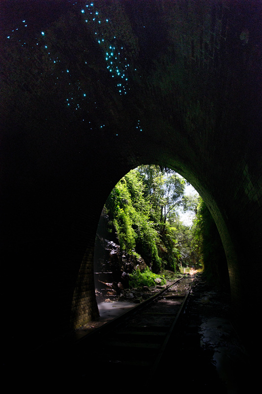 130-year-old tunnels in Australia being lightened by Glow Worms