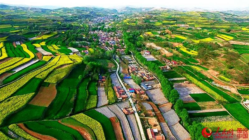 Aerial view of terraced fields in Gansu province