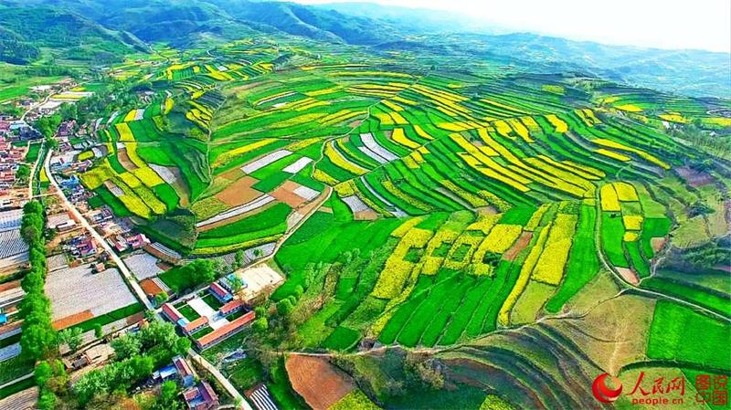 Aerial view of terraced fields in Gansu province