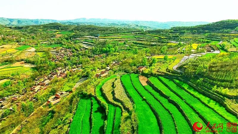 Aerial view of terraced fields in Gansu province