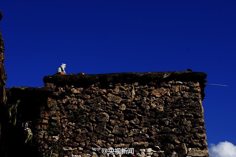 Ancient village with houses built with 375 million-year-old fossils 