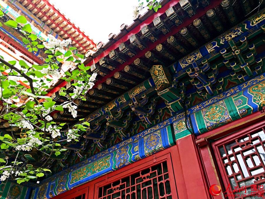 Magnificent view of the Forbidden City