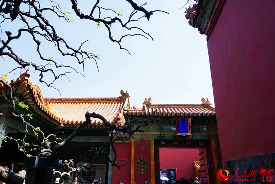 Magnificent view of the Forbidden City