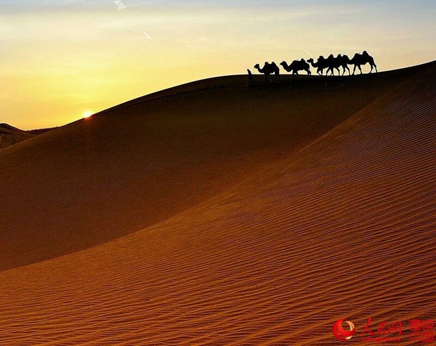 Serene desert view in Inner Mongolia