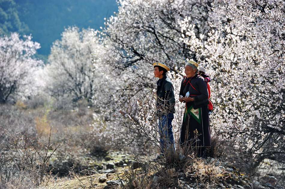 Breathtaking scenery of Tibet