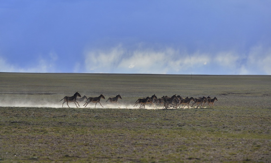 Breathtaking scenery of Tibet