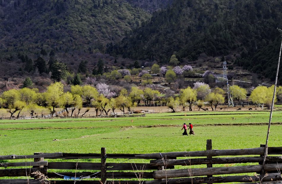 Breathtaking scenery of Tibet