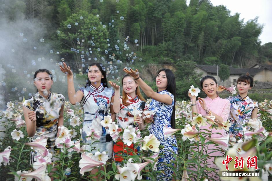 Beauties in cheongsam shining with lilies