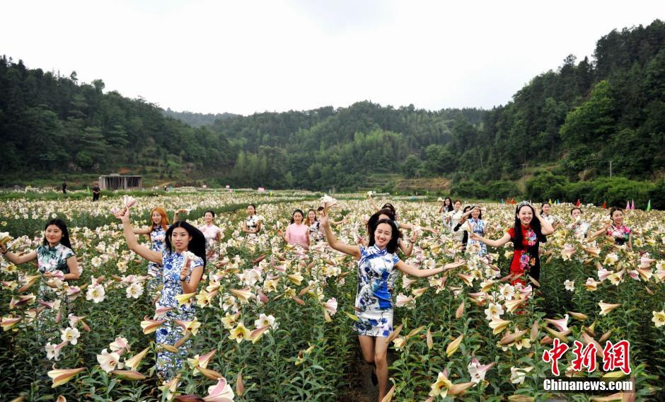 Beauties in cheongsam shining with lilies