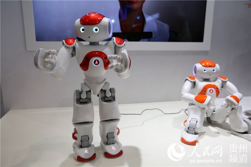 Robots at Guiyang Intl Big Data Expo 2016