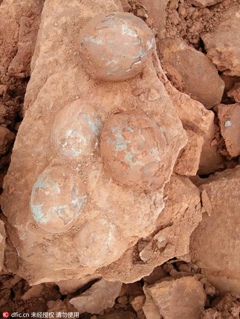 Dinosaur eggs dug out in E China