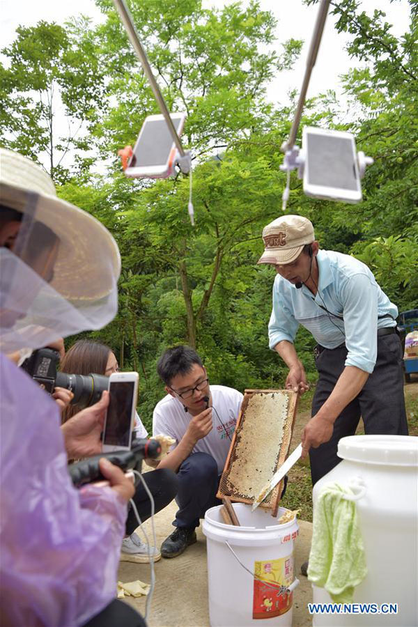 Taobao Kicks off Live-streaming for Agricultural Products in S.W. China