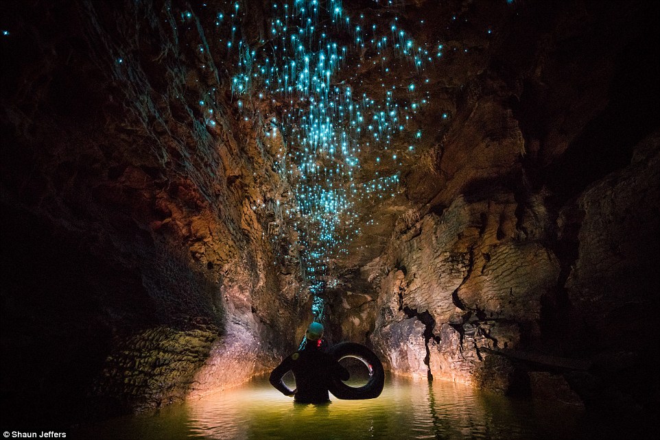 The light fantastic: Spellbinding images show glow worms illuminating a pitch black New Zealand grotto in streaks of turquoise