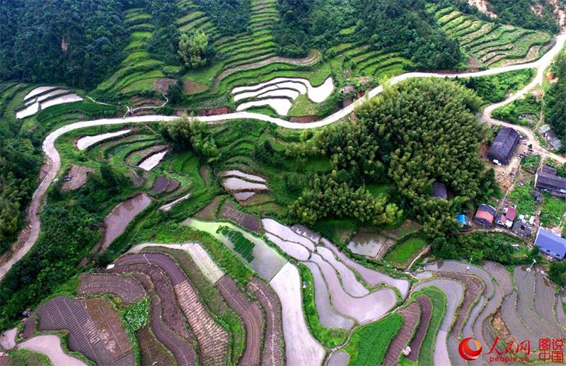 Terraced fields in Zhejiang