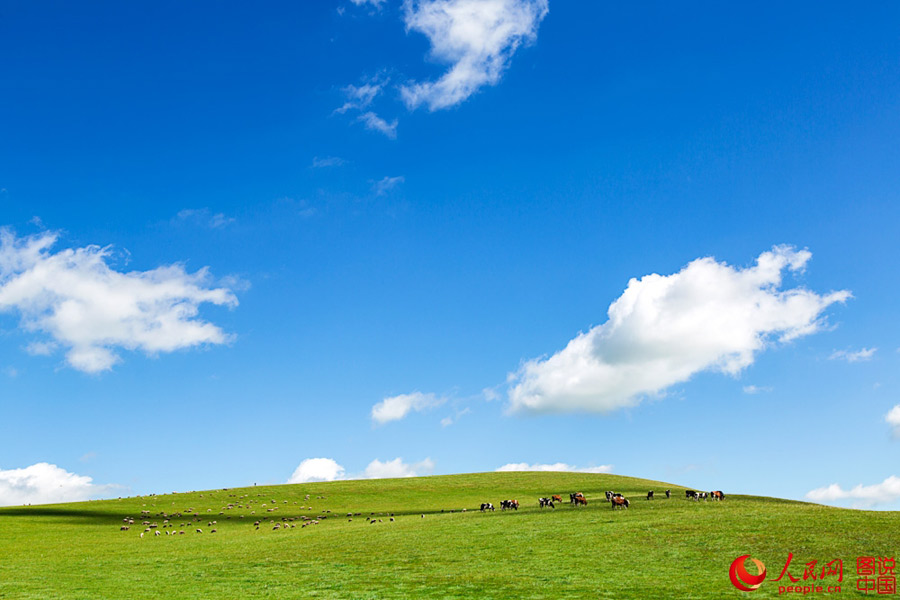 Splendid scenery of Hulunbuir Grasslands