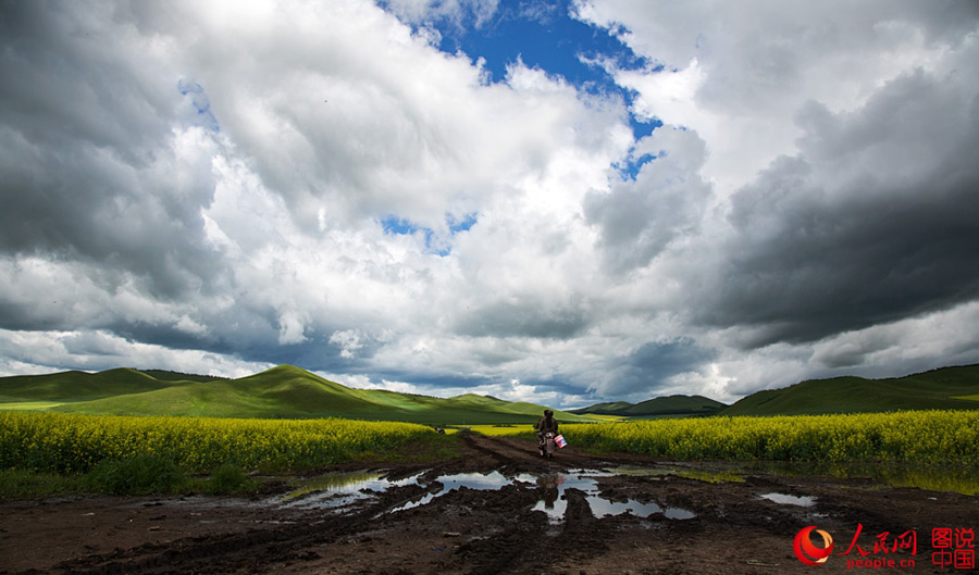 Splendid scenery of Hulunbuir Grasslands