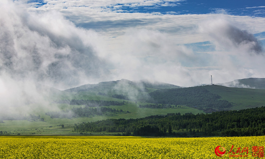 Splendid scenery of Hulunbuir Grasslands