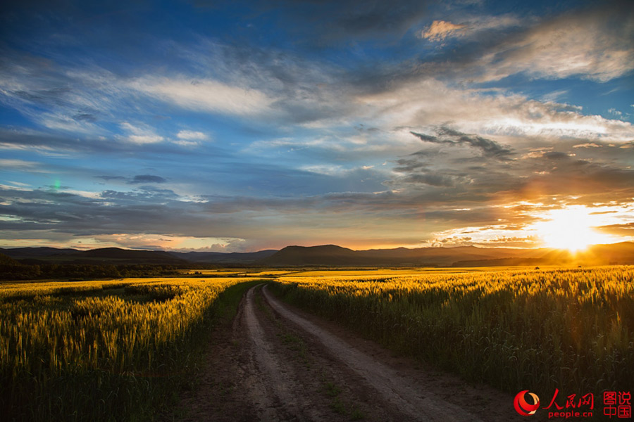 Splendid scenery of Hulunbuir Grasslands