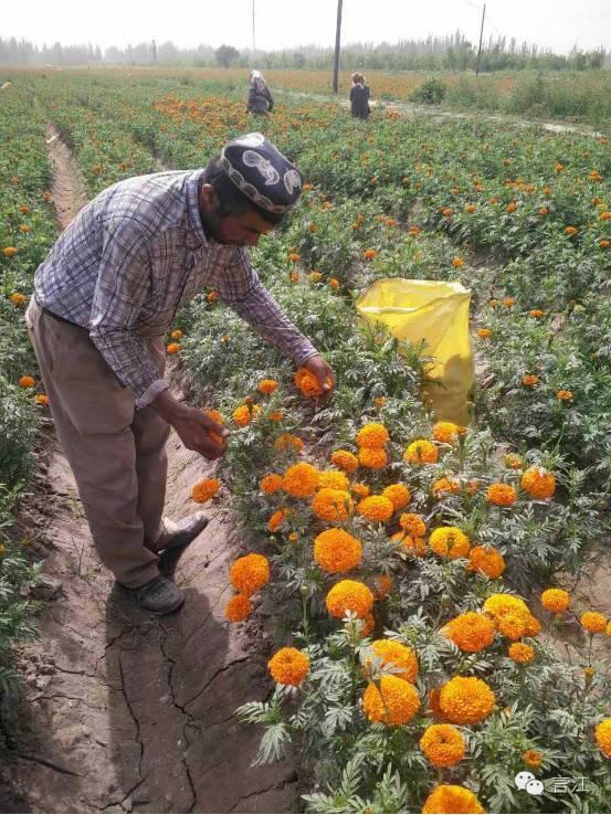 Southern Xinjiang in Ramadan