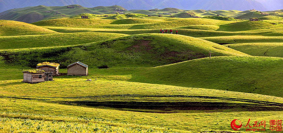 Morning view of Qiongkushitai Grassland