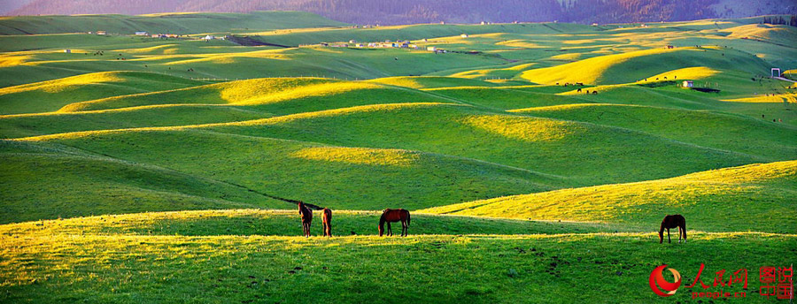 Morning view of Qiongkushitai Grassland