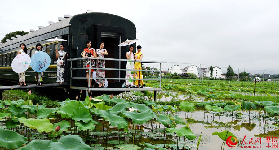 Cheongsam show held in lotus park in Zhejiang