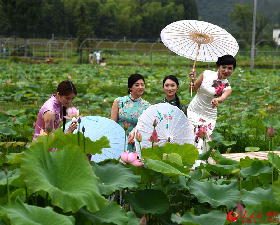 Cheongsam show held in lotus park in Zhejiang