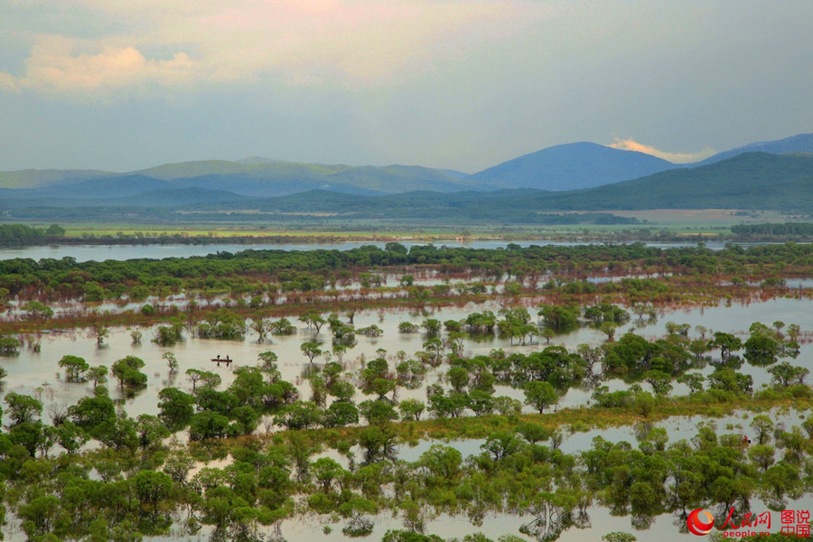 Intoxicating scenery of Nanhu Wetland