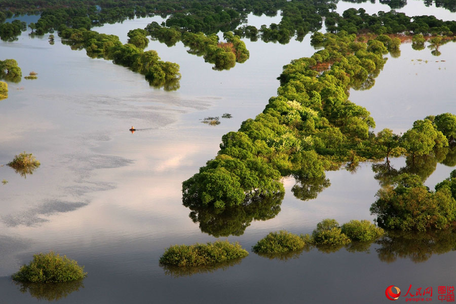 Intoxicating scenery of Nanhu Wetland