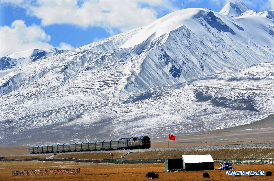 China has made great progress in overseas rail projects, says senior official