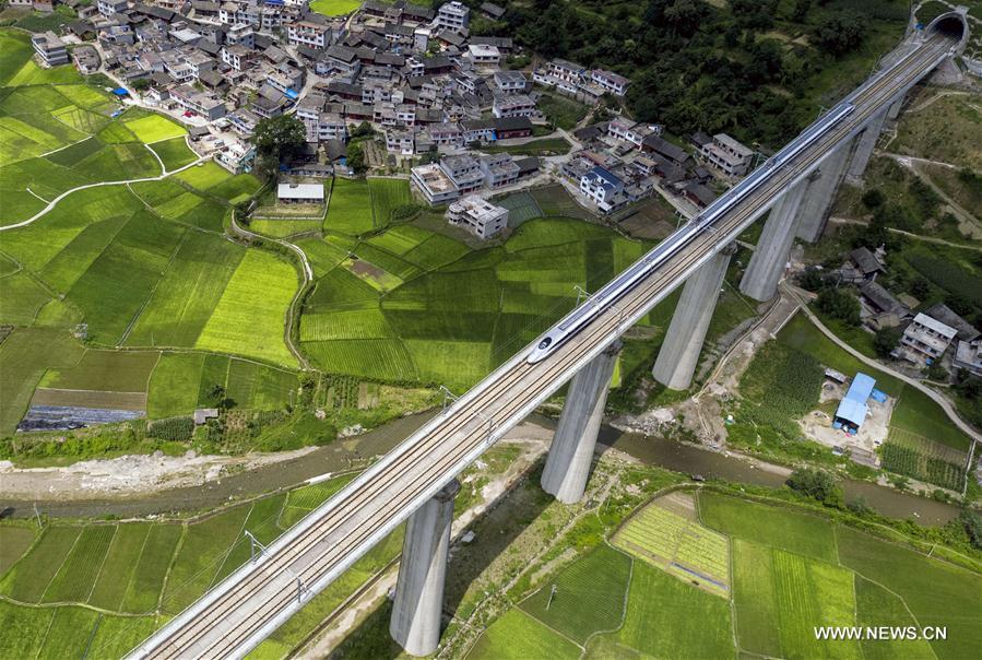 China has made great progress in overseas rail projects, says senior official