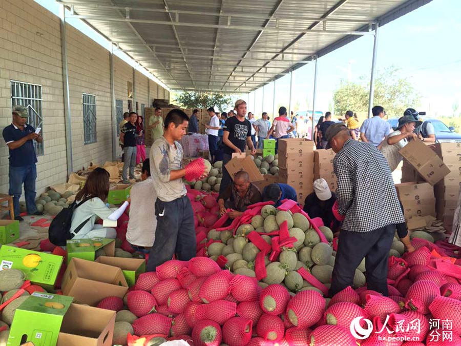 Special delivery! Hami melon straight from Xinjiang