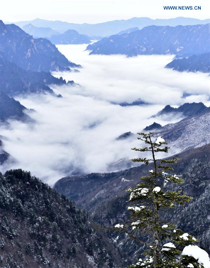 China's Hubei Shennongjia added to World Heritage List