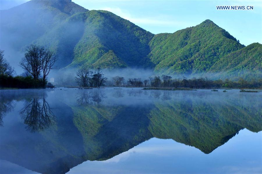 China's Hubei Shennongjia added to World Heritage List