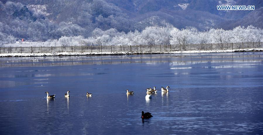 China's Hubei Shennongjia added to World Heritage List