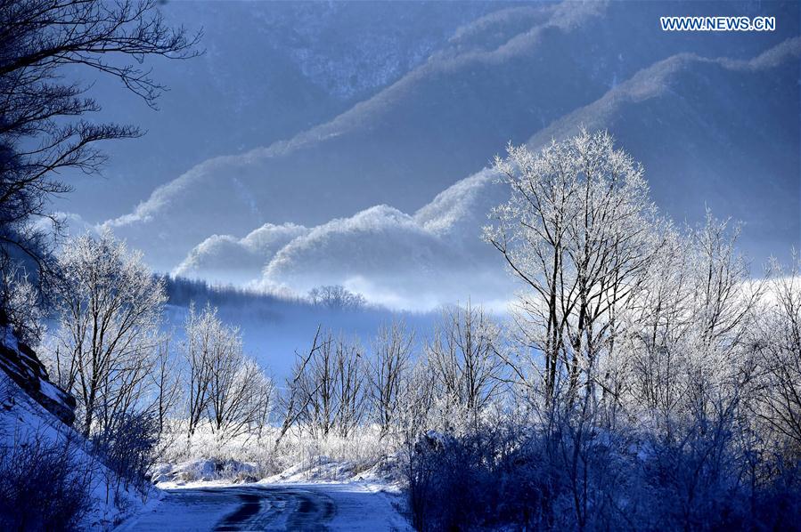 China's Hubei Shennongjia added to World Heritage List